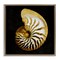 Stupell Industries Spiral Patterned Shell Framed Floater Canvas Wall Art Design by Caroline Kelly
